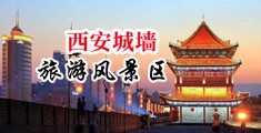夜夜操骚屄中国陕西-西安城墙旅游风景区